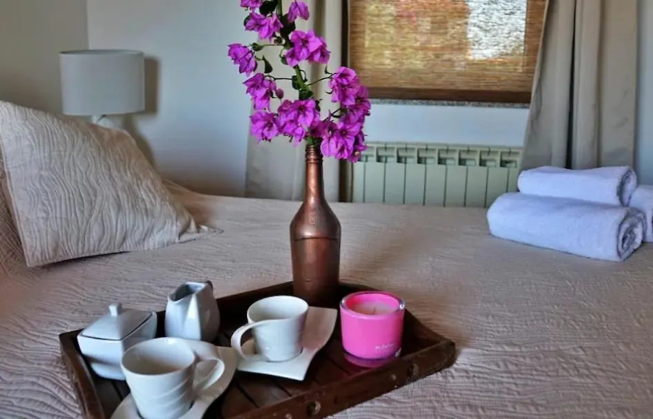Apartment Apartmani Karin Banjole Croatia