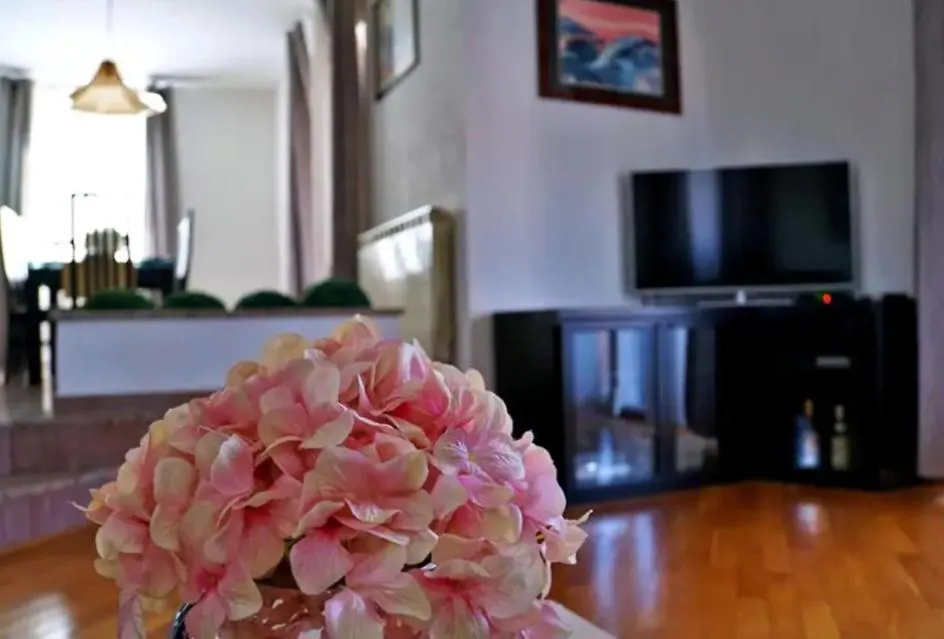 Apartmani Karin Banjole Croatia