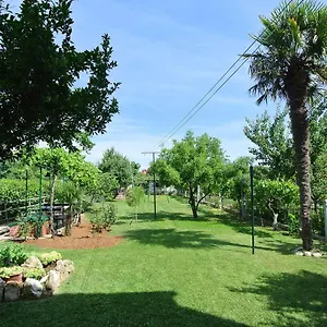 Sofia Apartment